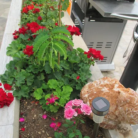 Daniel Guest house 2*