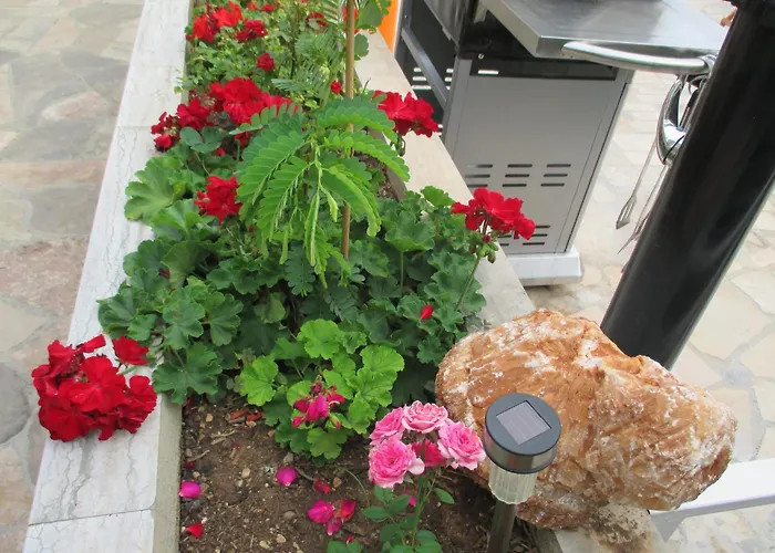 Daniel بيت ضيافة 2*